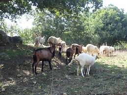 Agriturismo San Pietro