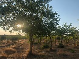 Antica Masseria Jorche