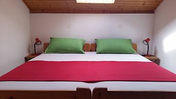 Apartments Darko