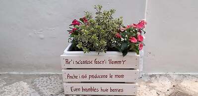 Il Vicolo B&B
