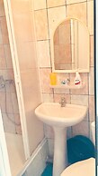 Rodnichok Guesthouse