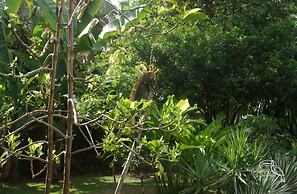 Hotel Tropical Garden