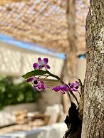 Orchid House Tulum Jungle