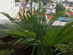 Ivy Hotel Da Lat