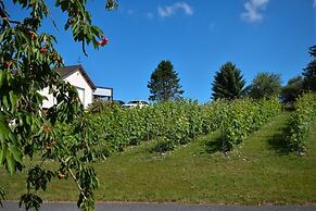 Le Clos du Moulin