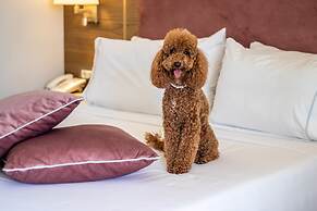 Serenity Suites