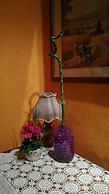 Il Castagneto