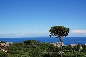 Suites in Erbalunga