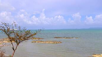 Sea You Soon