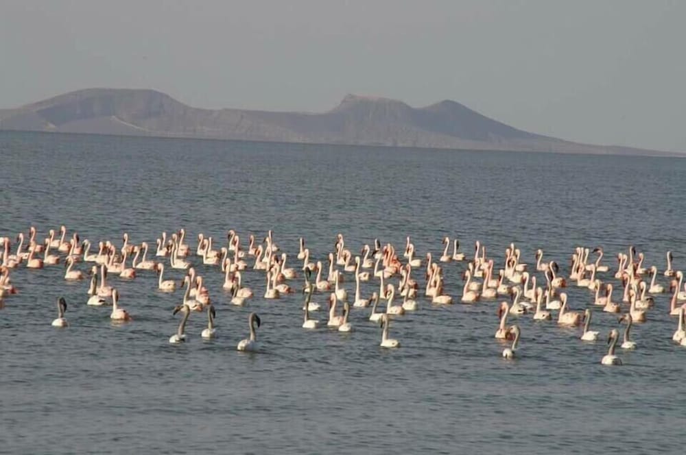 Napak Resort - Campsite