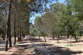 Camping Paradella