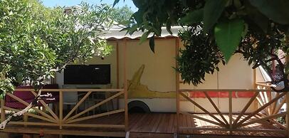 Kara Kedi Beach Bungalow