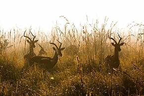 Tembe Elephant Park