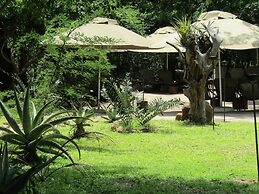 Tembe Elephant Park