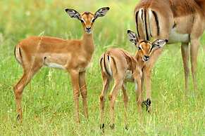 Tembe Elephant Park