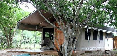 Tembe Elephant Park