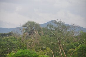 Rafiki Safari Camp