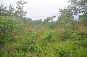 Rafiki Safari Camp