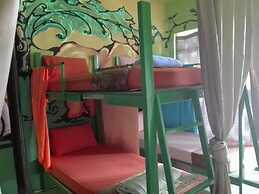 K & M House - Hostel