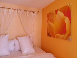 Bunny Hill Resort