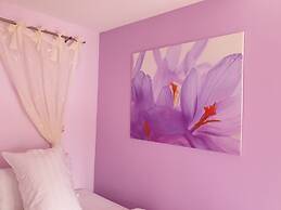 Bunny Hill Resort