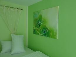 Bunny Hill Resort