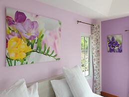 Bunny Hill Resort