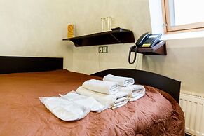 Tsaritsynskiy Hotel