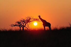 Esiweni Luxury Safari Lodge