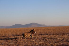 Esiweni Luxury Safari Lodge