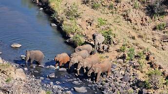 Esiweni Luxury Safari Lodge