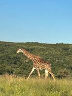 Esiweni Luxury Safari Lodge