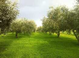 Ridocco Agriturismo