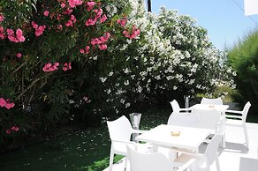 Vicky's Garden