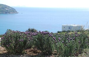 Plan B Holidays