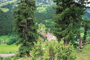 Green Valley Savsat