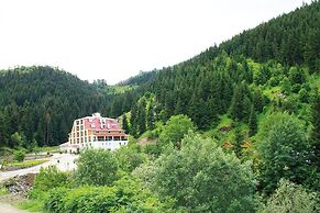Green Valley Savsat