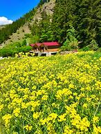 Green Valley Savsat