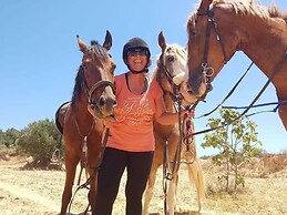 Domaine El-Manar