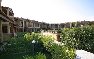 Myrsine
