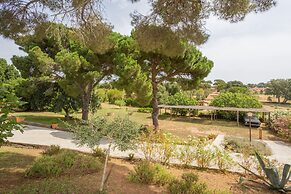 Le Rondini