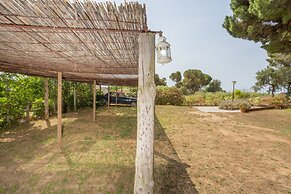 Le Rondini