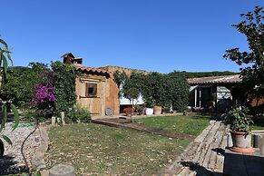 Le Rondini