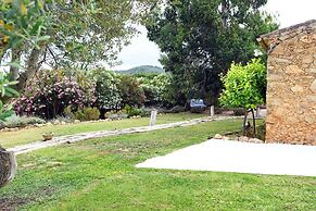 Le Rondini