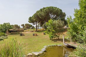 Le Rondini