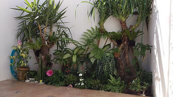 Green House