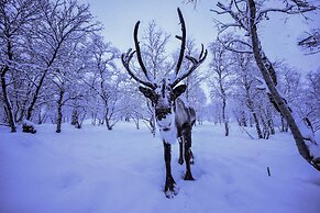 Snow Resort Kirkenes