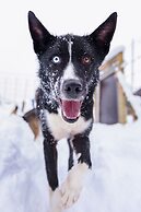 Snow Resort Kirkenes