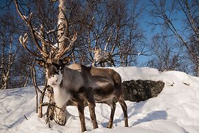 Snow Resort Kirkenes