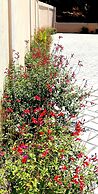 Reiki Luxury Villas